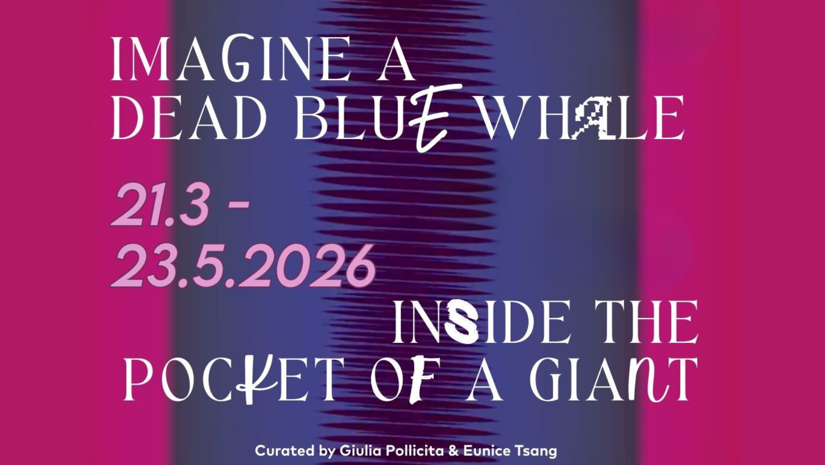 Imagine a Dead Blue Whale Inside the Pocket of a Giant – FREE EVENT